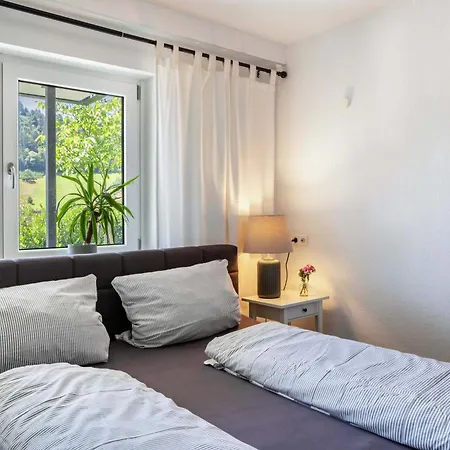 Апартаменты Haus Albi *